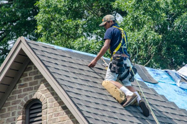 Quick and Trustworthy Emergency Roof Repair Services in Brent, FL